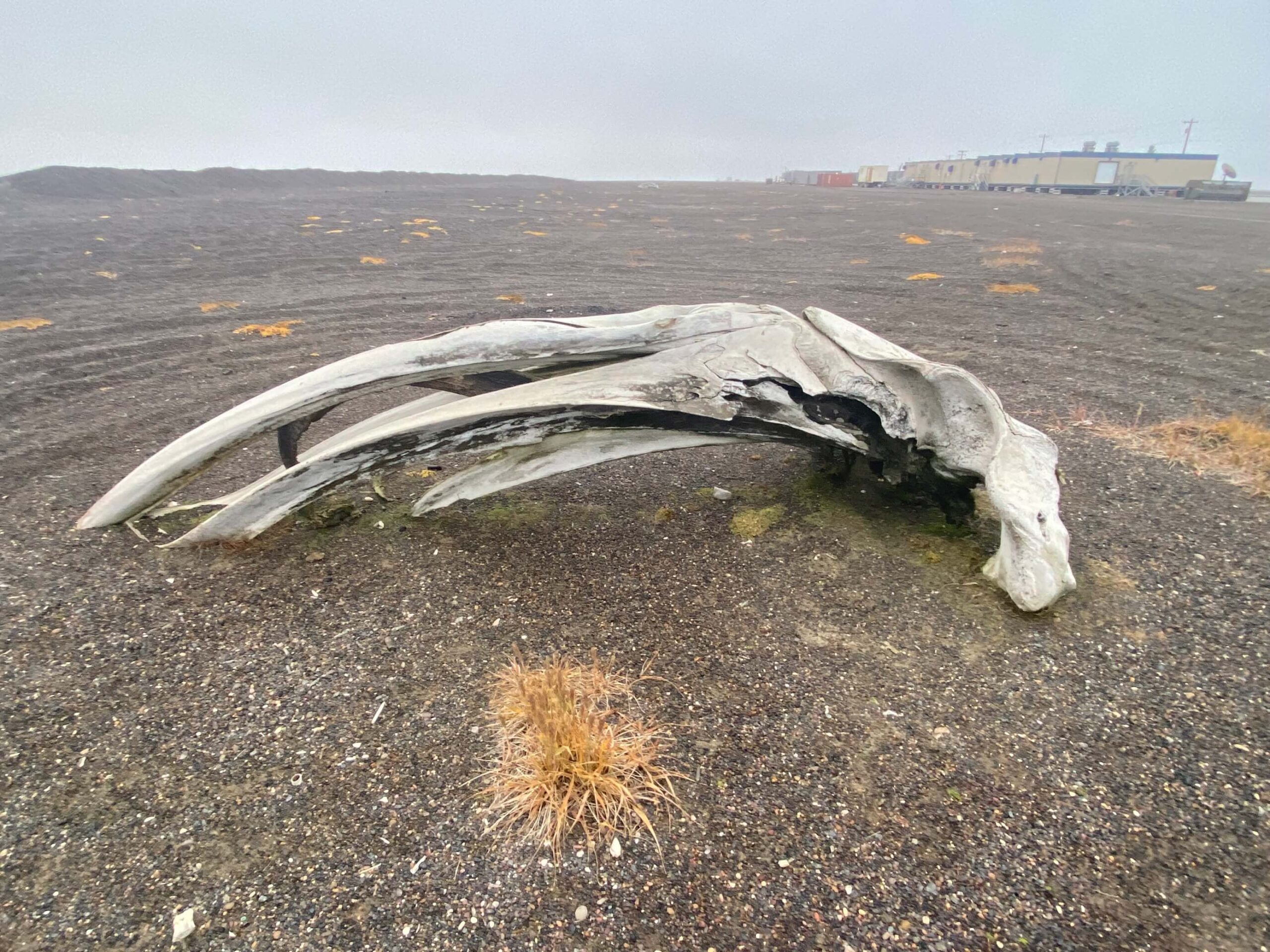 ASTAC Annual Meeting’s Return to In-Person